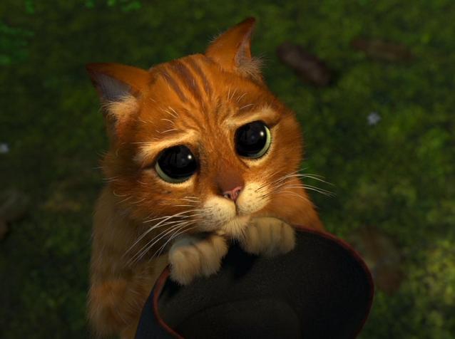 8 หนังเหมียวๆ ต้องรับวันแมวโลก 8 หนังเหมียวๆ ต้องรับวันแมวโลก