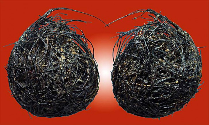 ขุนพันธ์ 2 | ตำนานมือปราบจอมขมังเวทย์และเสือเมืองไทย