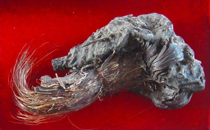 ขุนพันธ์ 2 | ตำนานมือปราบจอมขมังเวทย์และเสือเมืองไทย