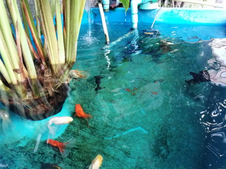 Huawei MediaPad M5 Pro แท็บเล็ตไฮบริด พิมพ์งานได้ วาดรูปดี ดูหนังเพลิน ฟังเพลงฟิน 