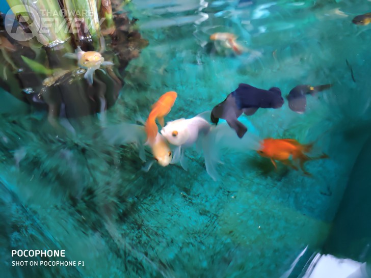 POCOPHONE F1 การกลับมาทวงบัลลังก์ของ Xiaomi ราชันแห่งความคุ้มค่า