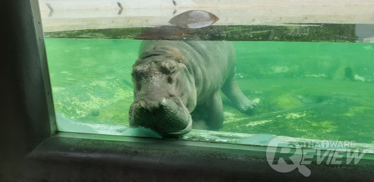 Samsung Galaxy Note 9 กับ S Pen ใหม่ ที่เป็นได้มากกว่าปากกา ของดีของหรูราคาแรง