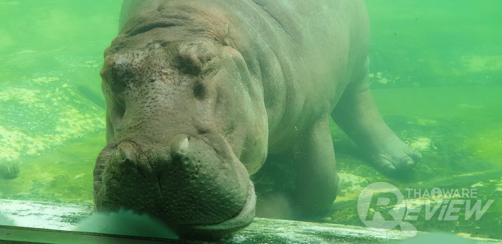 Samsung Galaxy Note 9 กับ S Pen ใหม่ ที่เป็นได้มากกว่าปากกา ของดีของหรูราคาแรง