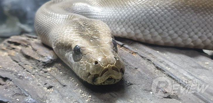 Samsung Galaxy Note 9 กับ S Pen ใหม่ ที่เป็นได้มากกว่าปากกา ของดีของหรูราคาแรง