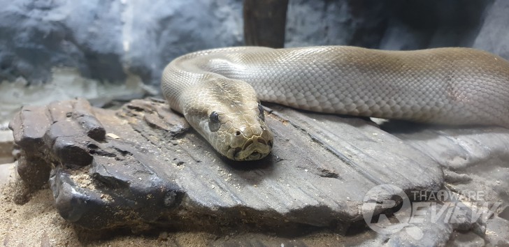 Samsung Galaxy Note 9 กับ S Pen ใหม่ ที่เป็นได้มากกว่าปากกา ของดีของหรูราคาแรง