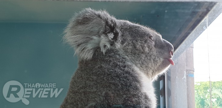 Samsung Galaxy Note 9 กับ S Pen ใหม่ ที่เป็นได้มากกว่าปากกา ของดีของหรูราคาแรง