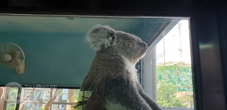 Samsung Galaxy Note 9 กับ S Pen ใหม่ ที่เป็นได้มากกว่าปากกา ของดีของหรูราคาแรง