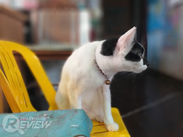 Samsung Galaxy J6+ และ J4+ ไอดอลสมาร์ทโฟนจอใหญ่ จอสวย ในราคาที่ไม่แรง