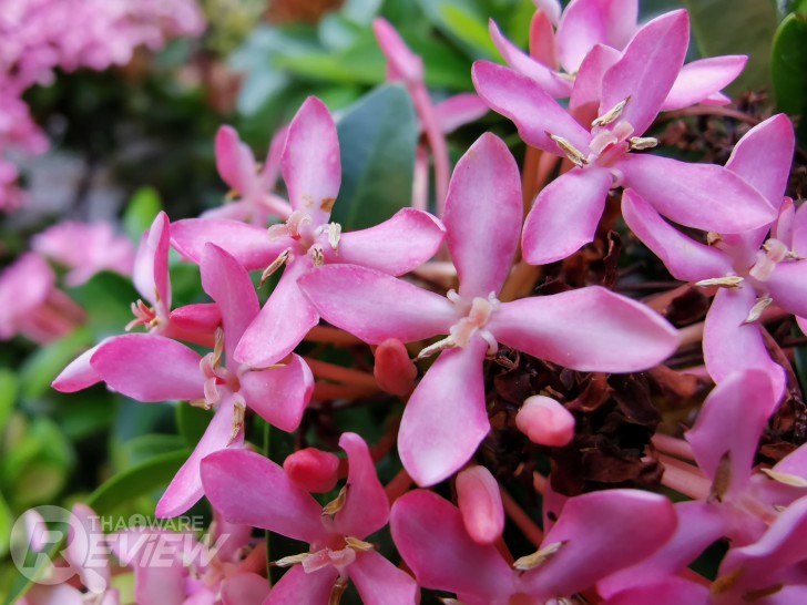 Huawei Mate 20 น้องเล็กตระกูลเรือธง กล้องหลัง 3 เลนส์ไลก้า ดีไซน์ไฟหน้ารถแข่งแบรนด์หรู