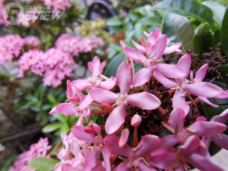 Huawei Mate 20 น้องเล็กตระกูลเรือธง กล้องหลัง 3 เลนส์ไลก้า ดีไซน์ไฟหน้ารถแข่งแบรนด์หรู