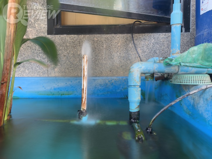 Spectre แอปกล้องพลัง AI ที่ช่วยให้การถ่ายภาพ Long-exposure เป็นเรื่องง่ายๆ