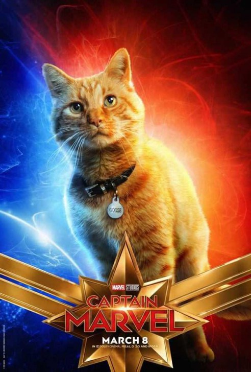 Captain Marvel | มารู้จักฮีโร่หญิงสุดทรงพลัง Captain Marvel (และเจ้าแมวส้ม Goose)