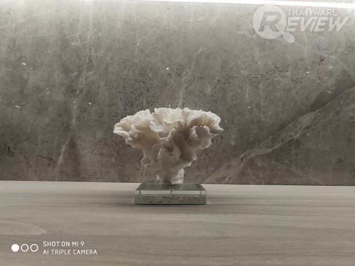 Xiaomi Mi 9 มีชิปเซ็ตเทพ Snapdragon 855 กล้องหลัง 3 ตัว กับค่าตัวน่ารักๆ 