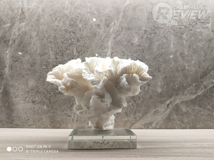 Xiaomi Mi 9 มีชิปเซ็ตเทพ Snapdragon 855 กล้องหลัง 3 ตัว กับค่าตัวน่ารักๆ 