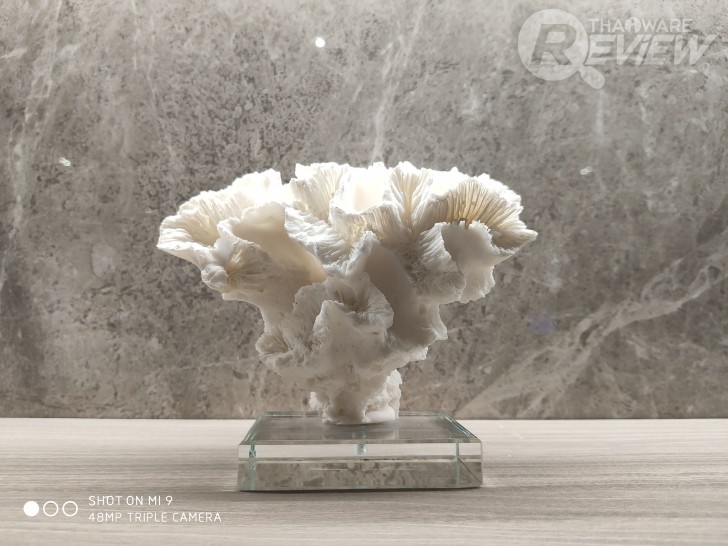 Xiaomi Mi 9 มีชิปเซ็ตเทพ Snapdragon 855 กล้องหลัง 3 ตัว กับค่าตัวน่ารักๆ 