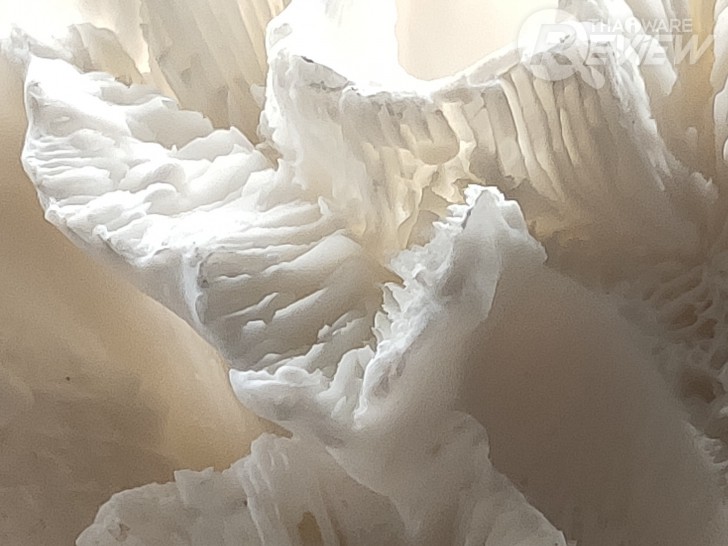 Xiaomi Mi 9 มีชิปเซ็ตเทพ Snapdragon 855 กล้องหลัง 3 ตัว กับค่าตัวน่ารักๆ 