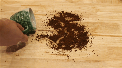 Bissell Vac&Steam เครื่องดูดฝุ่น 3-in-1 ถูทีเดียว ฝุ่นหาย คราบละลาย เชื้อโรคตาย