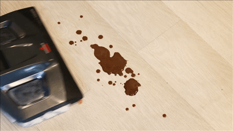 Bissell Vac&Steam เครื่องดูดฝุ่น 3-in-1 ถูทีเดียว ฝุ่นหาย คราบละลาย เชื้อโรคตาย