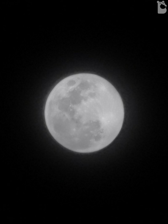 HUAWEI P30 Pro มือถือกล้องเทพ ซูมไกล Portrait แจ่ม