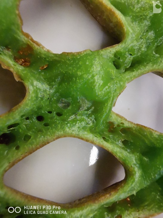 HUAWEI P30 Pro มือถือกล้องเทพ ซูมไกล Portrait แจ่ม