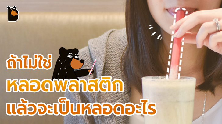 ไม่ใช้หลอดพลาสติก แล้วจะใช้อะไรดี? เพื่อสิ่งแวดล้อมที่ดีขึ้น