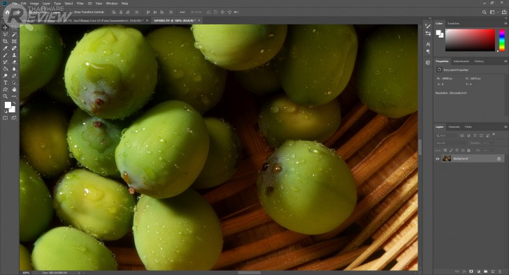 พรีวิวมัดรวม! a7R IV ฟูลเฟรมเซ็นเซอร์เทพ และ RX-100 VII คอมแพคระดับปีศาจ