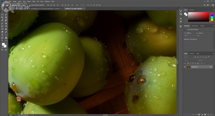 พรีวิวมัดรวม! a7R IV ฟูลเฟรมเซ็นเซอร์เทพ และ RX-100 VII คอมแพคระดับปีศาจ