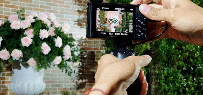 พรีวิวมัดรวม! a7R IV ฟูลเฟรมเซ็นเซอร์เทพ และ RX-100 VII คอมแพคระดับปีศาจ