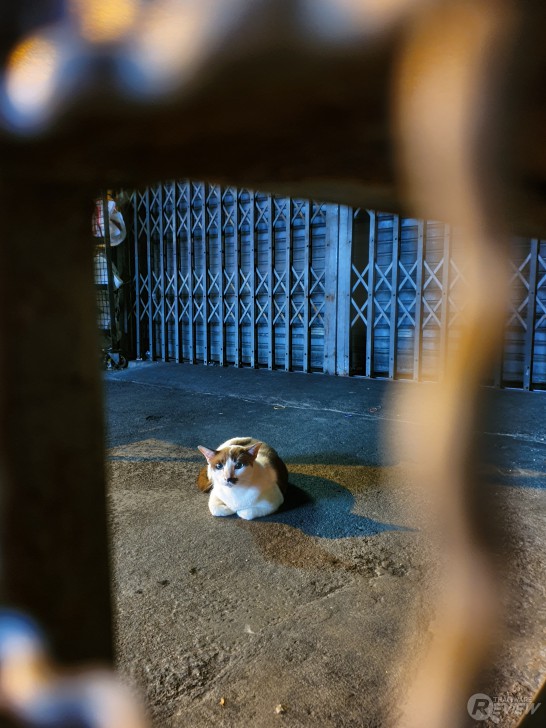 Samsung Galaxy Note10+ แชร์ประสบการณ์ใช้งาน และภาพที่ได้จากกล้องมือถือเกรด Pro