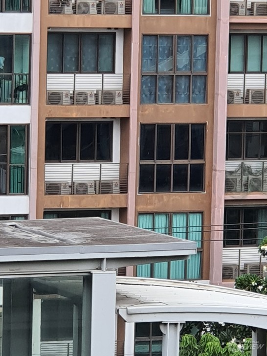 Samsung Galaxy Note10+ แชร์ประสบการณ์ใช้งาน และภาพที่ได้จากกล้องมือถือเกรด Pro