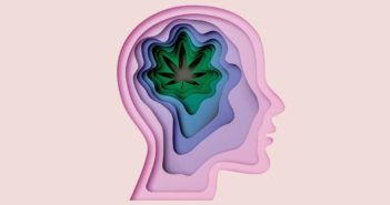 กัญชารักษาโรคได้!?