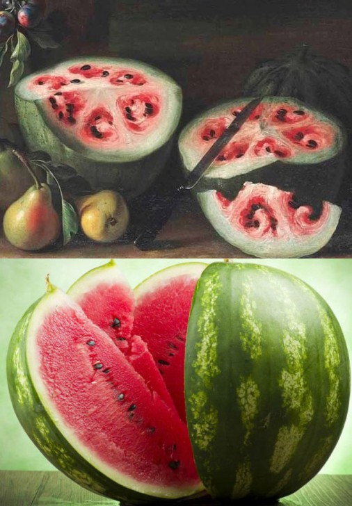 รู้หรือไม่!? เมื่อก่อนผักผลไม้ไม่ได้หน้าตาแบบที่เห็นในทุกวันนี้หรอกนะ