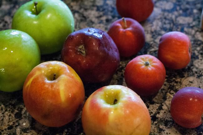 รู้หรือไม่!? เมื่อก่อนผักผลไม้ไม่ได้หน้าตาแบบที่เห็นในทุกวันนี้หรอกนะ