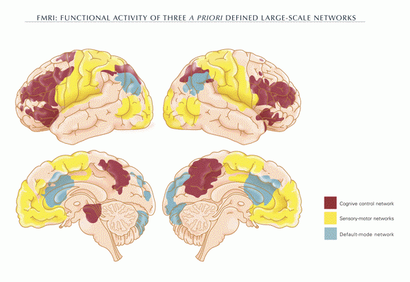 โหมด Autopilot ของสมองคืออะไรกันนะ?