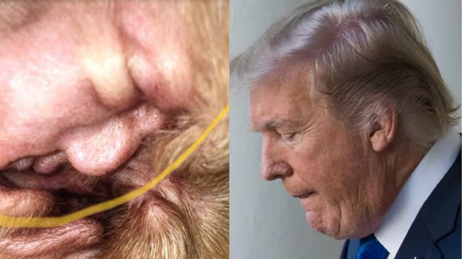 เคยสงสัยไหมว่าทำไมเราถึงมองเห็นสิ่งของต่างๆ มีหน้าตาประหลาดๆ? เคยสงสัยไหมว่าทำไมเราถึงมองเห็นสิ่งของต่างๆ มีหน้าตาประหลาดๆ?