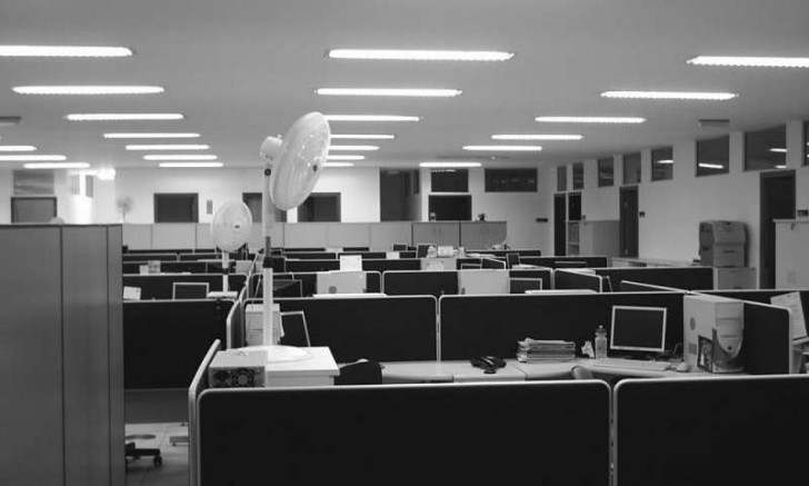 เครียดกับงานใช่ไหม? สัตว์เลี้ยงช่วยคุณได้ เพียงแค่คุณพาพวกมันมาทำงานด้วยเท่านั้น!