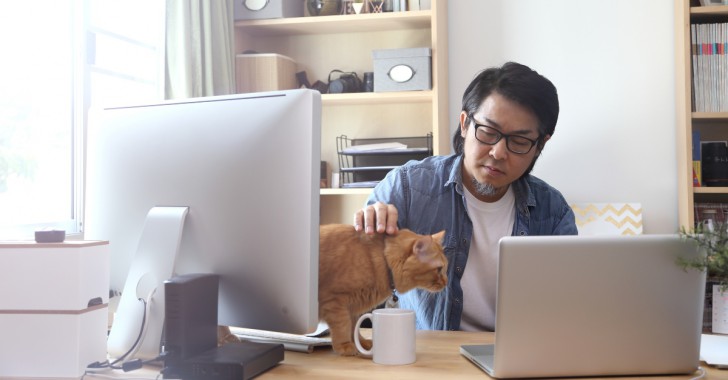 เครียดกับงานใช่ไหม? สัตว์เลี้ยงช่วยคุณได้ เพียงแค่คุณพาพวกมันมาทำงานด้วยเท่านั้น!