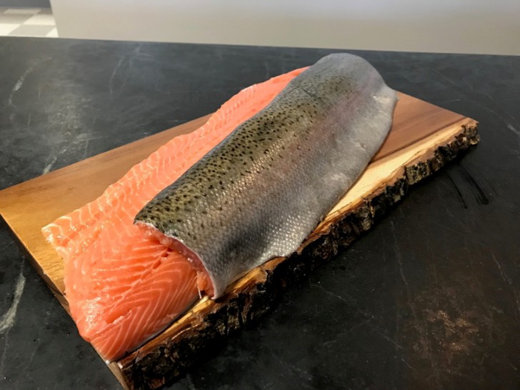 แซลมอนจากนอร์เวย์กลายมาเป็นอาหารญี่ปุ่นได้ยังไง แล้วแซลมอนมีกี่ชนิดกันนะ!?