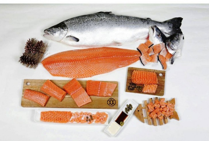 แซลมอนจากนอร์เวย์กลายมาเป็นอาหารญี่ปุ่นได้ยังไง แล้วแซลมอนมีกี่ชนิดกันนะ!?