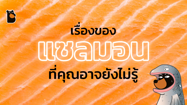 แซลมอนจากนอร์เวย์กลายมาเป็นอาหารญี่ปุ่นได้ยังไง แล้วแซลมอนมีกี่ชนิดกันนะ!?