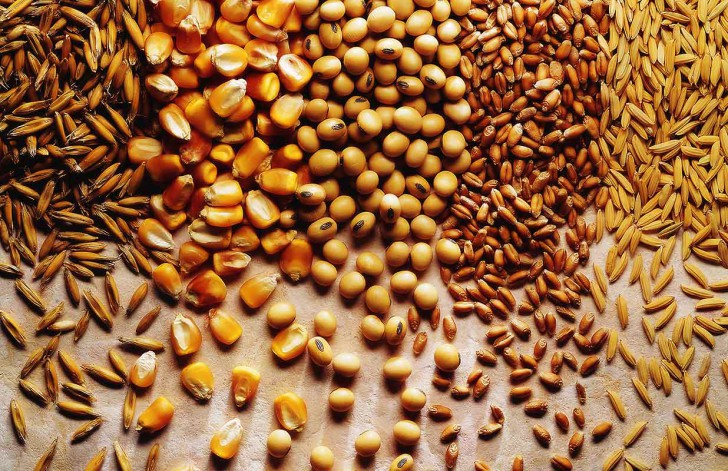 พืชชนิดนี้เป็นผักหรือผลไม้กันนะ?