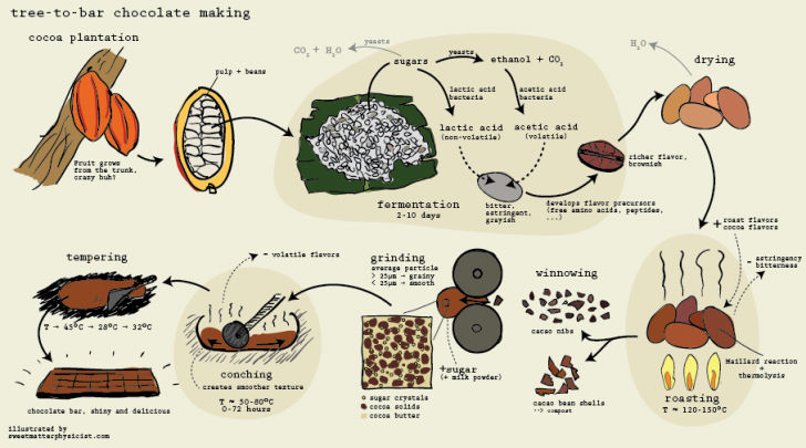 Chocolate ไม่ได้แค่อร่อยอย่างเดียวแต่ยังมีประโยชน์อีกด้วยนะ!
