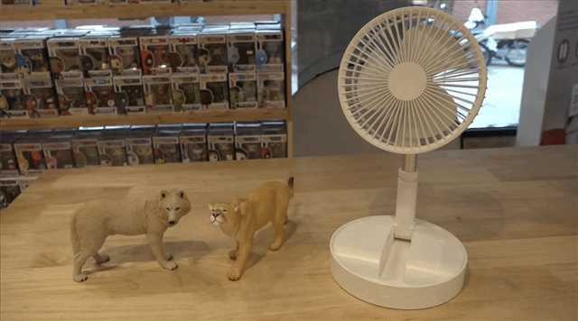 พัดลมพกพา รุ่น P9 พัดลมตั้งพื้นไร้สายขนาดกะทัดรัด พกพาสะดวก พัดลมพกพา รุ่น P9 พัดลมตั้งพื้นไร้สายขนาดกะทัดรัด พกพาสะดวก