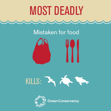 Potato Plastic ช้อน-ส้อมพลาสติกจากมันฝรั่งที่สามารถรับประทานได้!? Potato Plastic ช้อน-ส้อมพลาสติกจากมันฝรั่งที่สามารถรับประทานได้!?