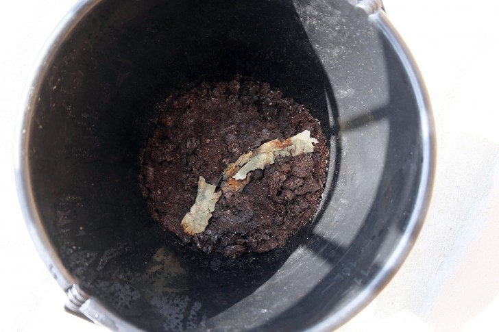 Potato Plastic ช้อน-ส้อมพลาสติกจากมันฝรั่งที่สามารถรับประทานได้!?