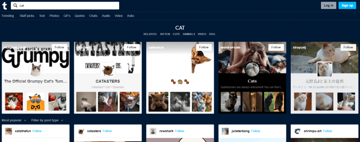 ทำไม Facebook ถึงเป็นสีฟ้า?
