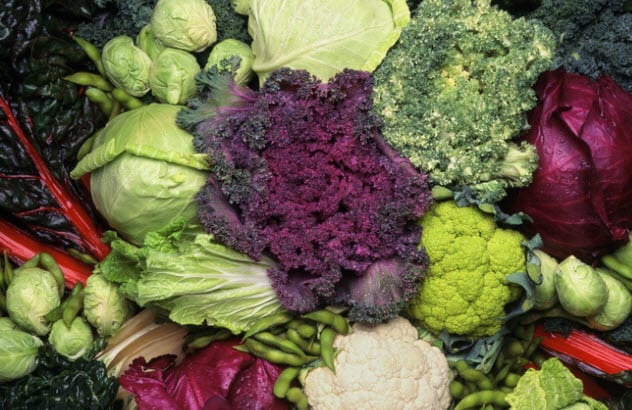 รู้หรือไม่ ผัก ผลไม้ที่เรานิยมทาน หลายชนิดไม่มีในธรรมชาติ แต่เกิดจากการสร้างสรรค์ของมนุษย์