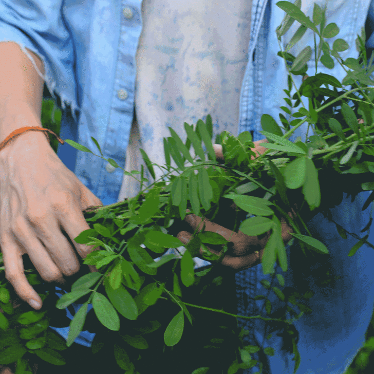 ที่มาของคำว่า "สีน้ำเงิน"