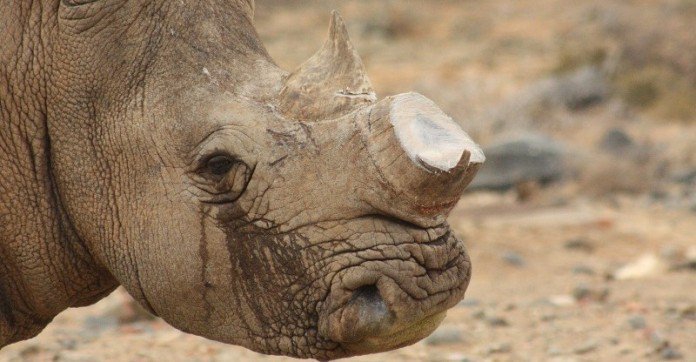 การเที่ยวชมธรรมชาติโดยไม่ทำลายธรรมชาติ (และสัตว์ป่า)