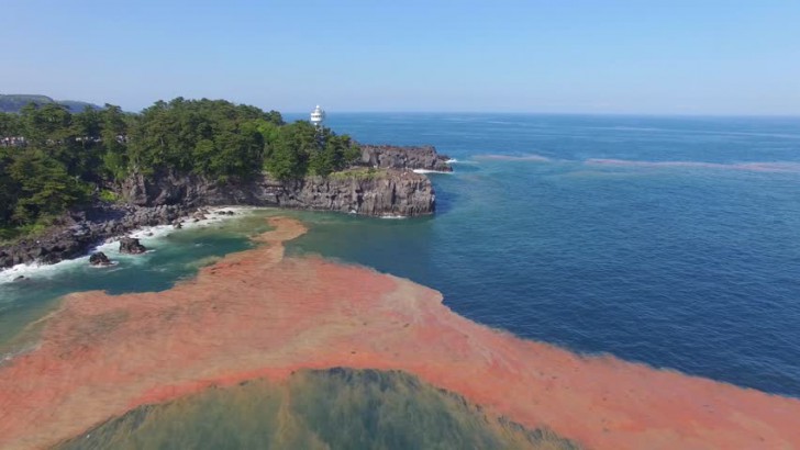 รู้หรือไม่ว่าน้ำทะเลจะ "ใส" ที่สุดในช่วงฤดูหนาว